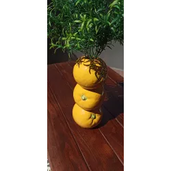 Nowoczesny Wazon w Kształcie Pomarańczy z Realistycznymi Gałązkami