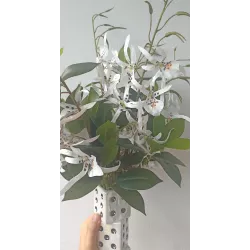 Designerski Wazon Kostki do Gry z Białymi Kwiatami Dekoracja do Domu Biura