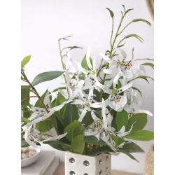 Designerski Wazon Kostki do Gry z Białymi Kwiatami Dekoracja do Domu Biura