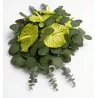 Stroik Na Pogrzeb Premium Jak Żywy Sztuczny Anturium Limonkowe